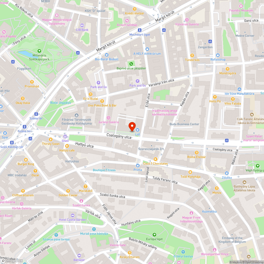 LIDL előtti szemetes terület bejelentés helye