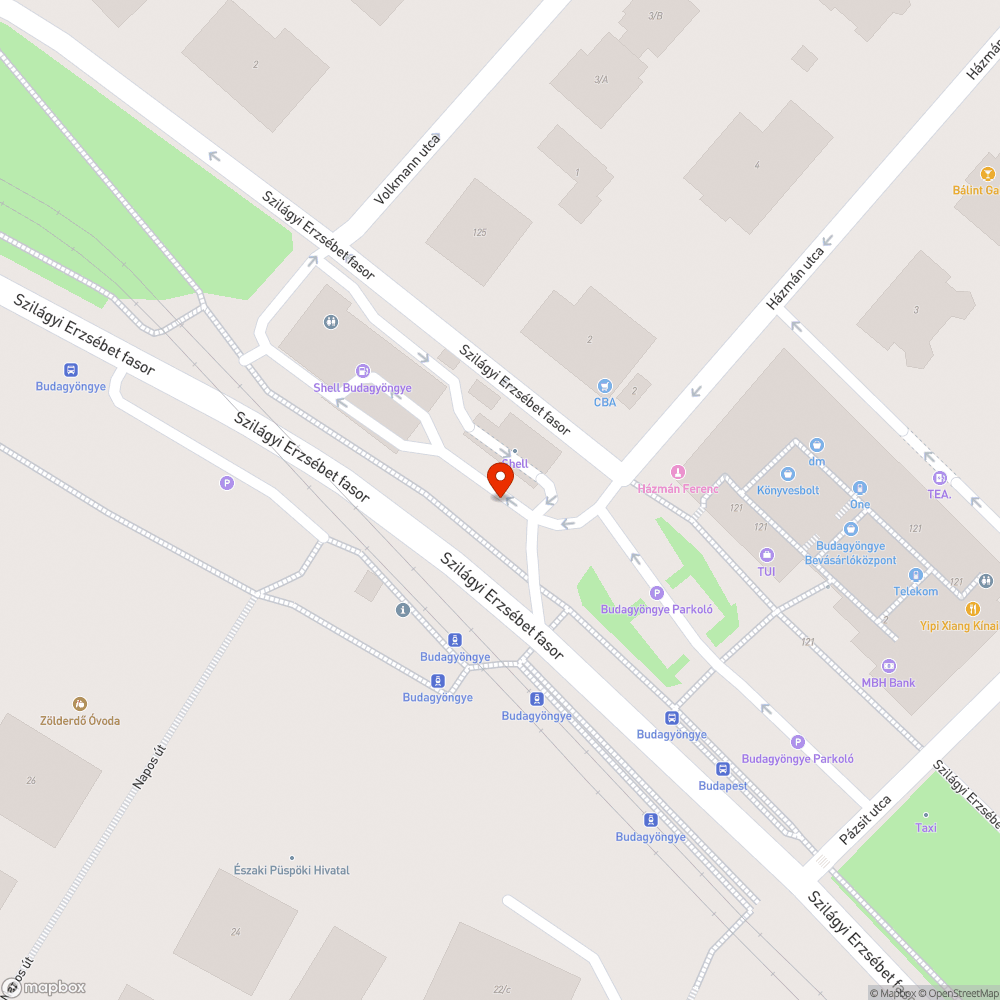 Ailanthus x oszlop bejelentés helye