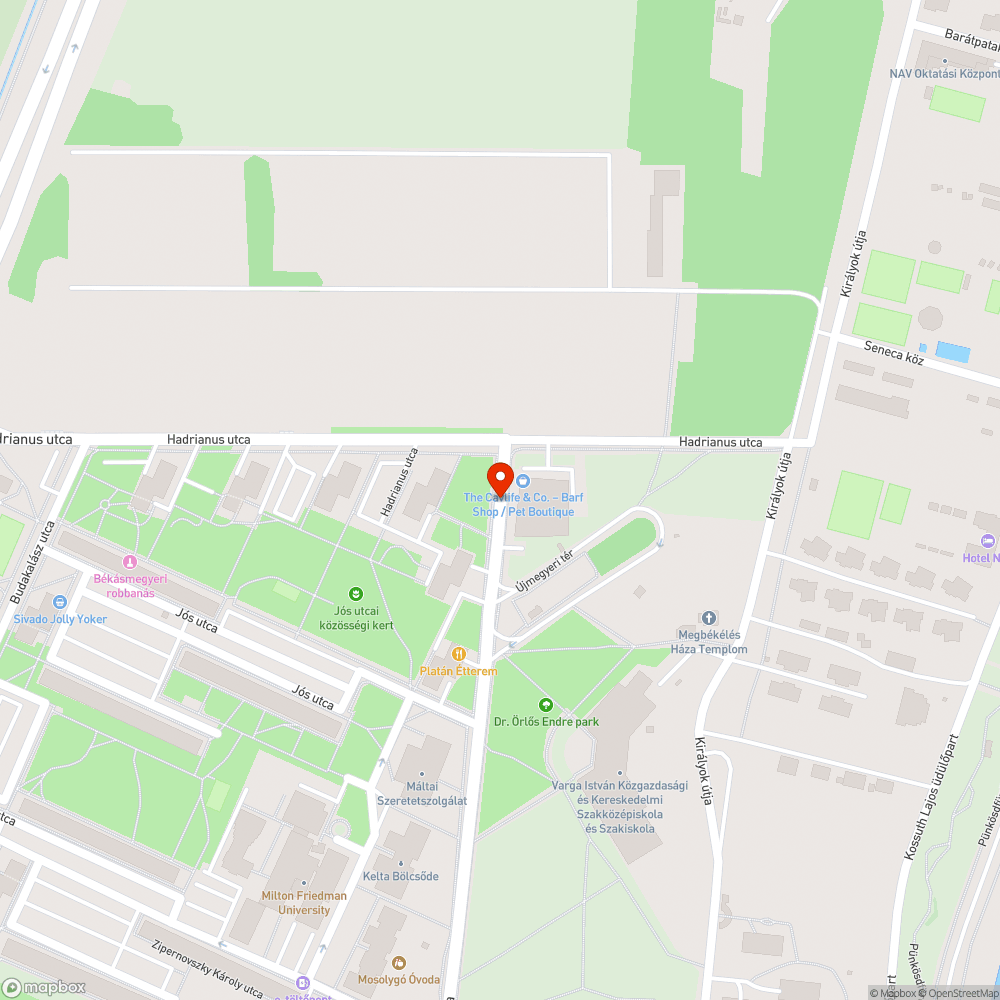 Út és parkoló tele falevelekkel bejelentés helye