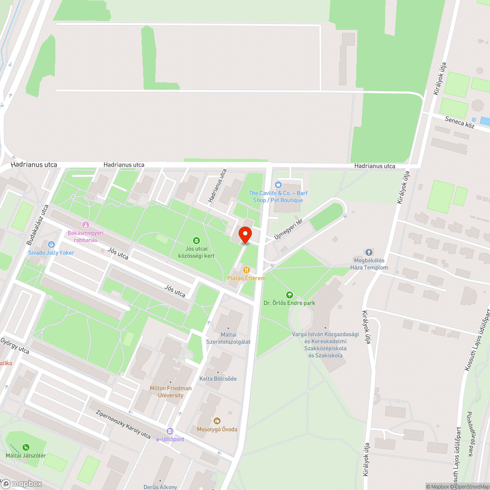 Kutyaszar és falevelek bejelentés helye