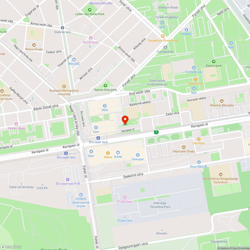 Kiszáradt, balesetveszélyes fa bejelentés helye