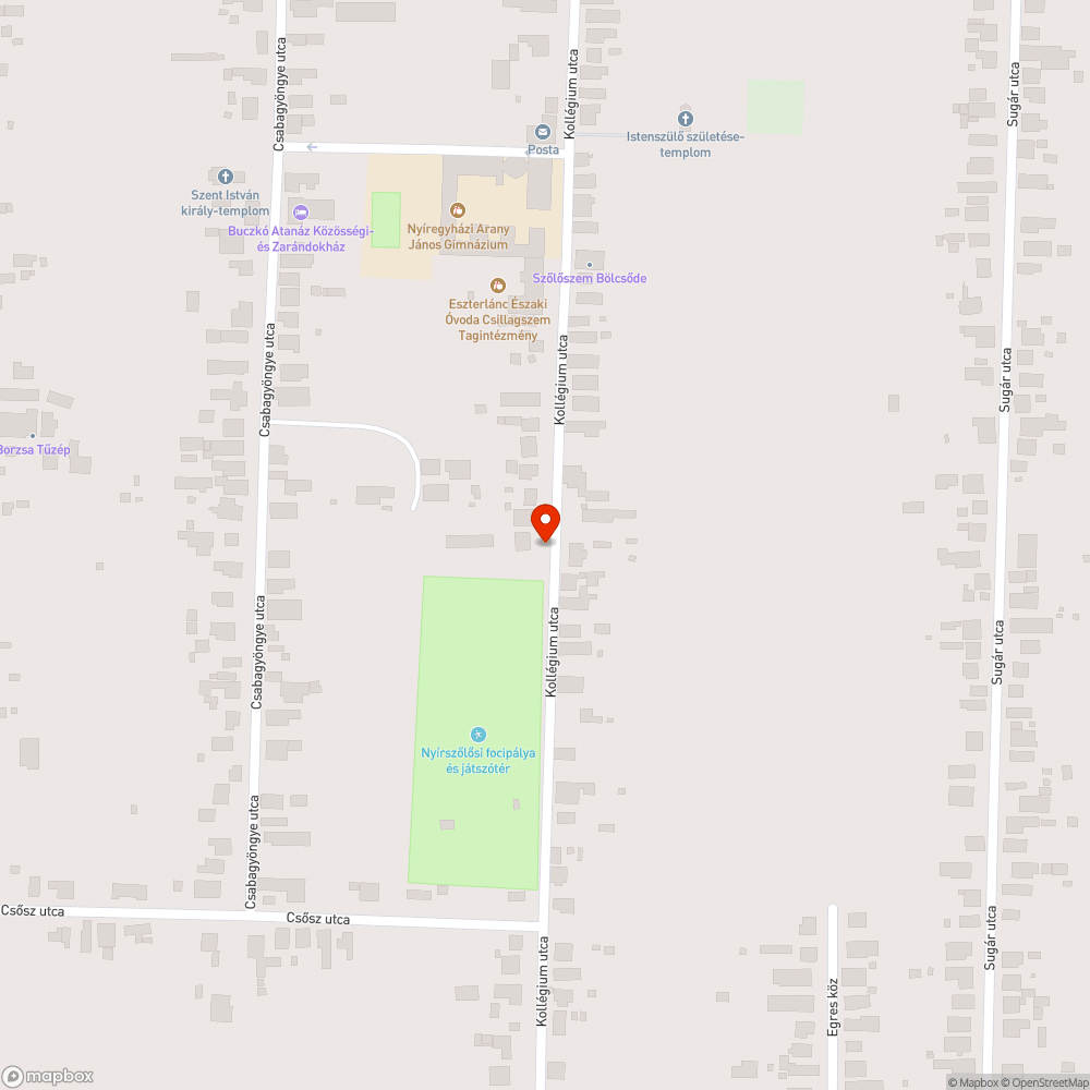 Úttestre nõtt növényzet - Kollégium u. bejelentés helye