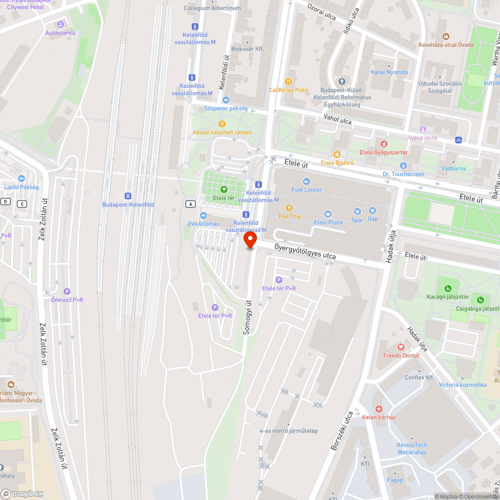 Lekopott zebra bejelentés helye