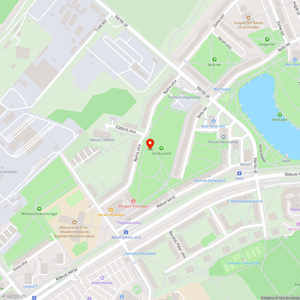 Veszélyes kosárlabda palánk bejelentés helye