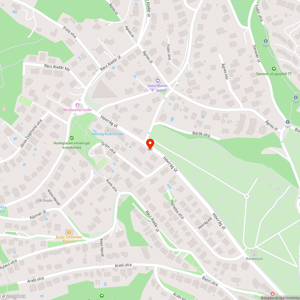 Hó utca BKK buszmegálló bejelentés helye