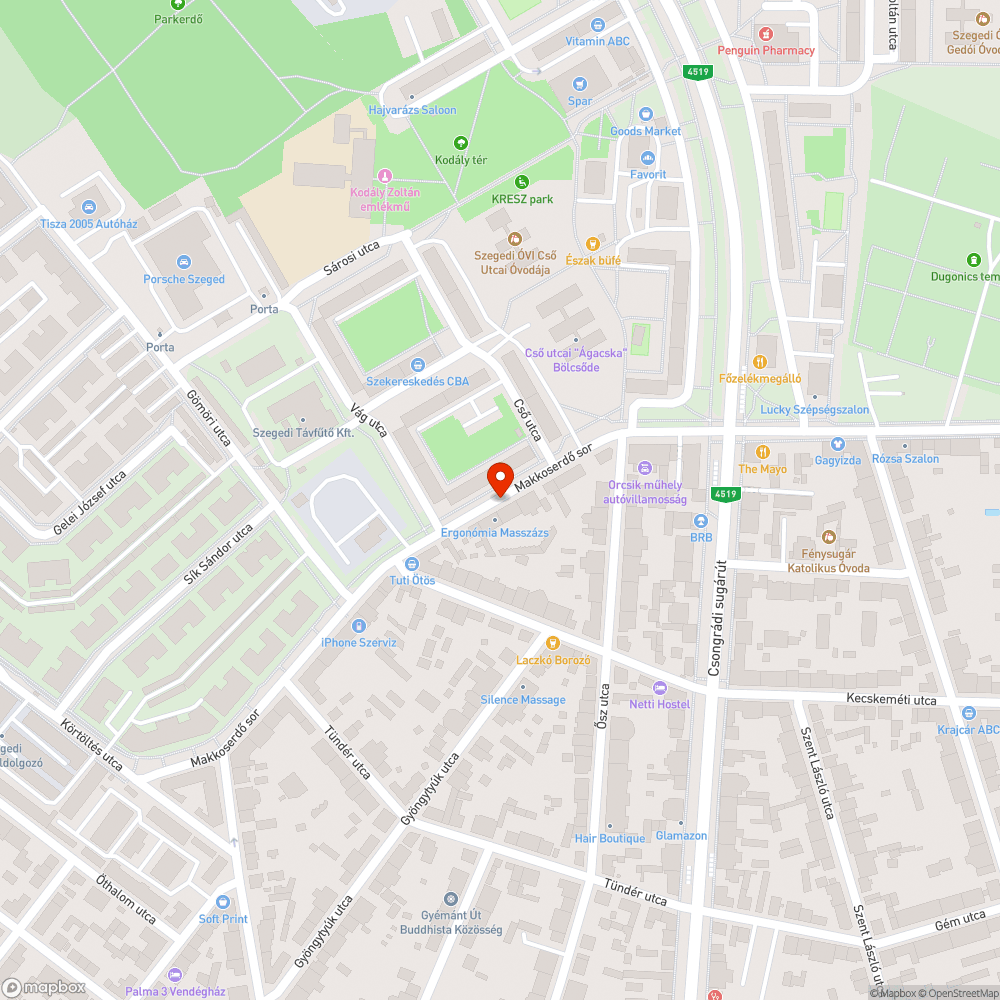 Kiégett lámpák a Makkoserdő soron bejelentés helye