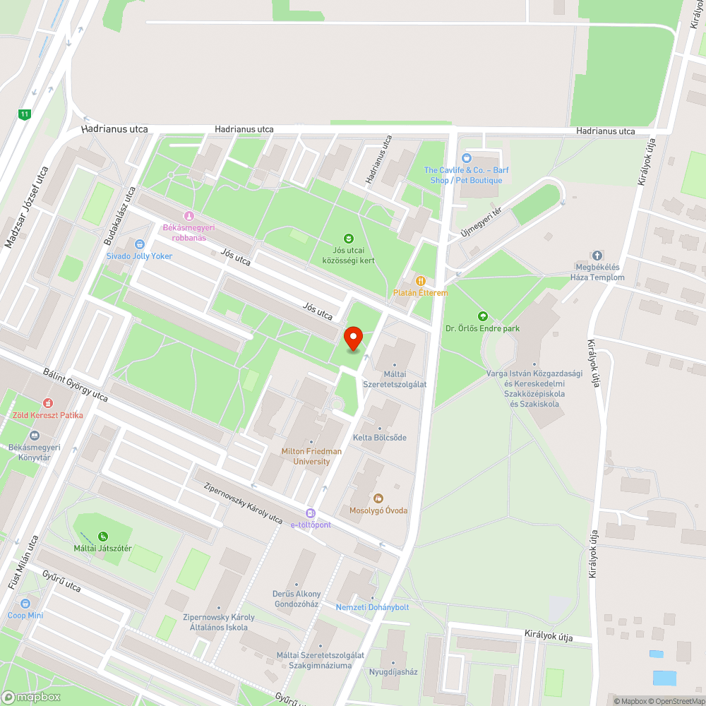 Leszakadt faág bejelentés helye