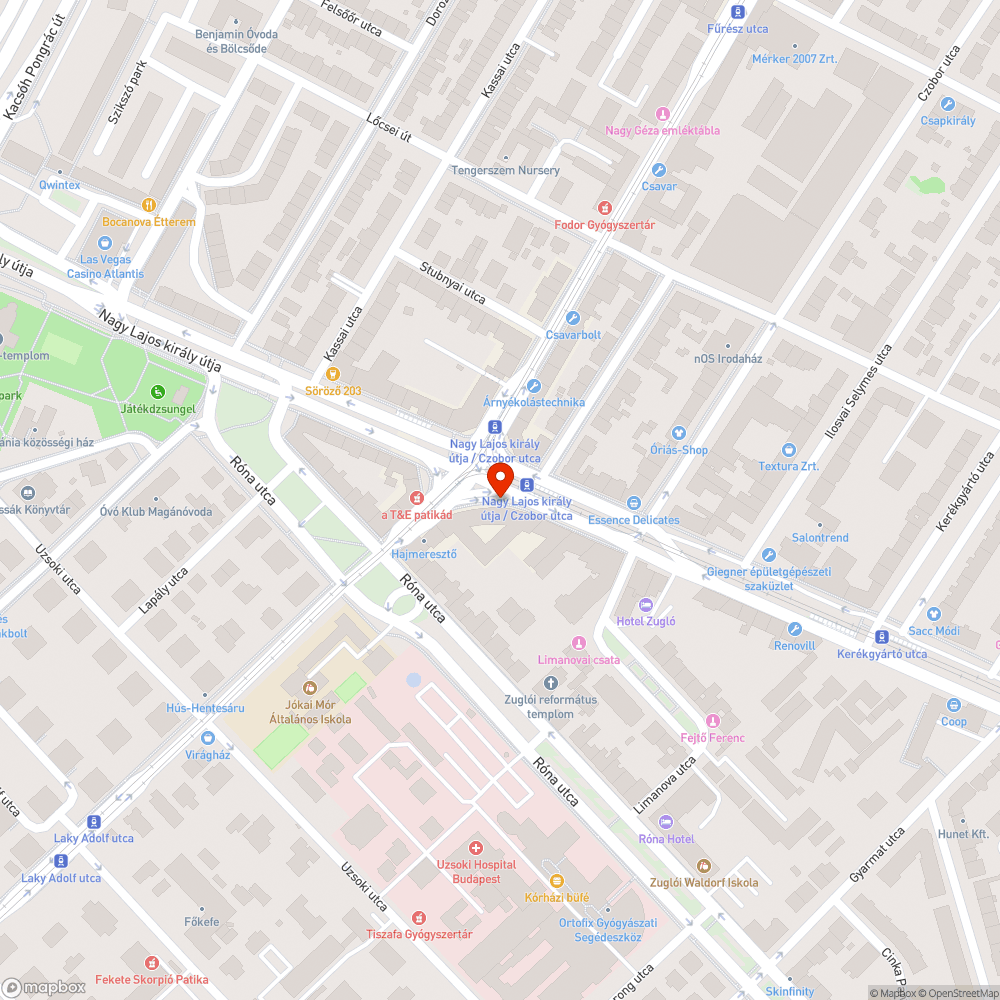 Szemetesnek használt, gondozatlan dézsás fa bejelentés helye