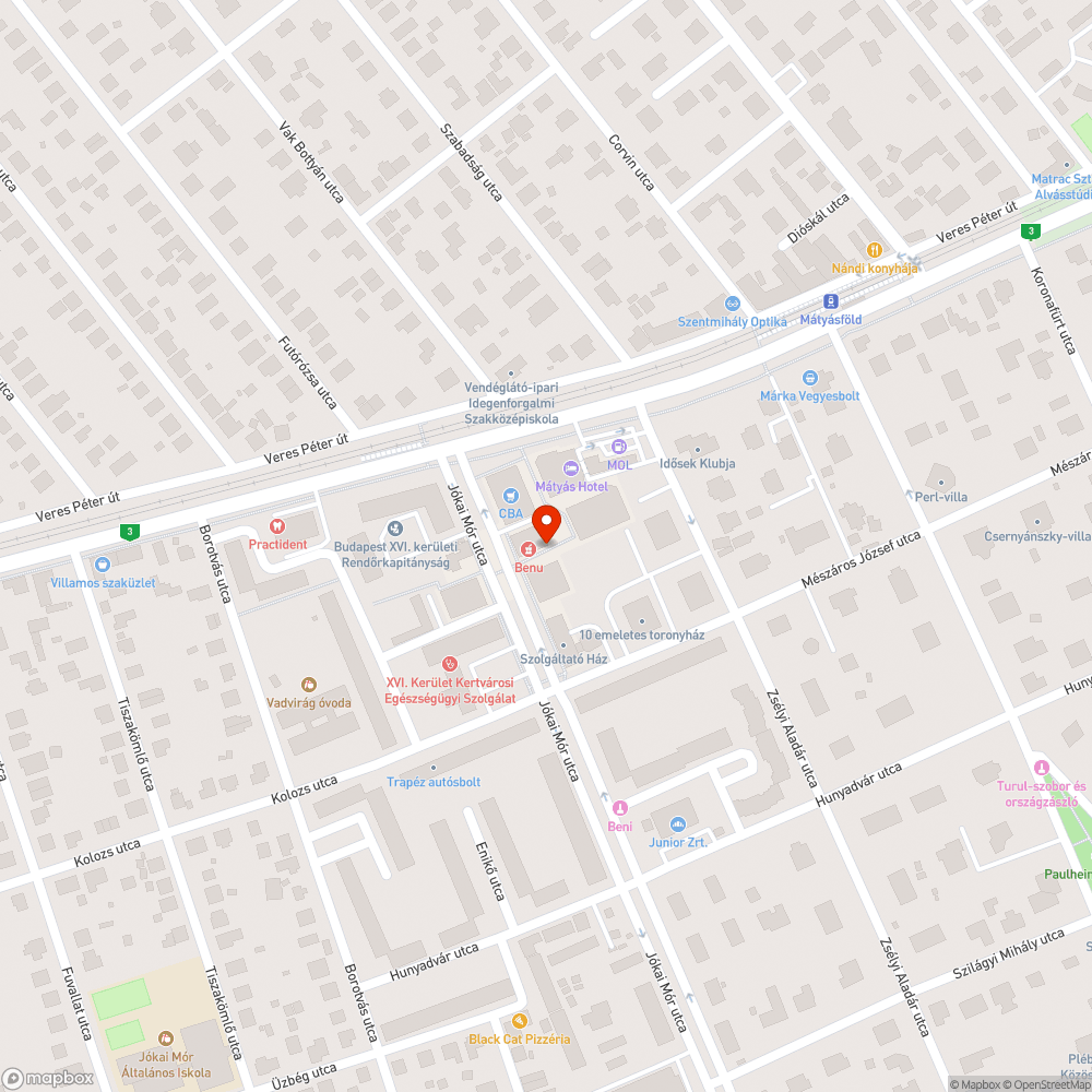 Környezetszennyező és sérült kémény bejelentés helye