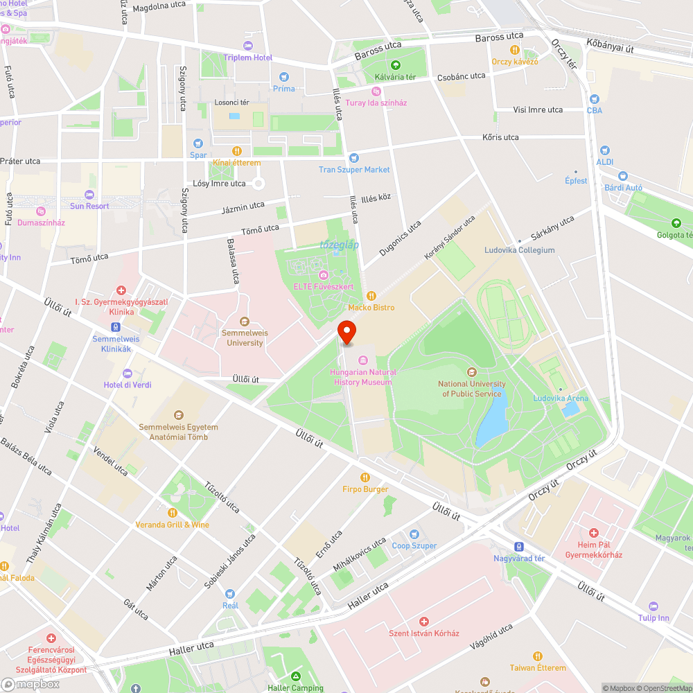 Nem támaszt a támasz bejelentés helye