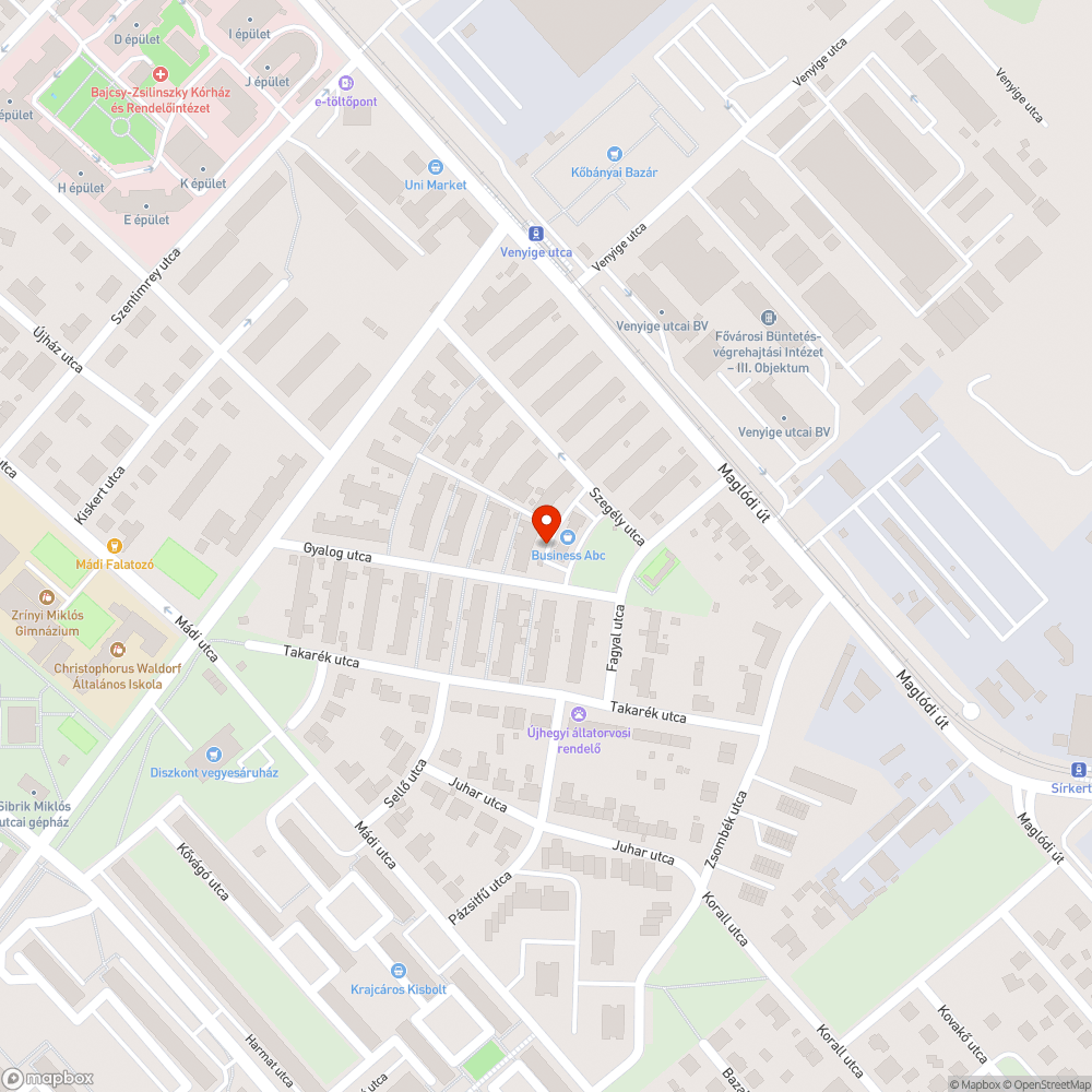 Egy kátyú a Gyalog utcában bejelentés helye