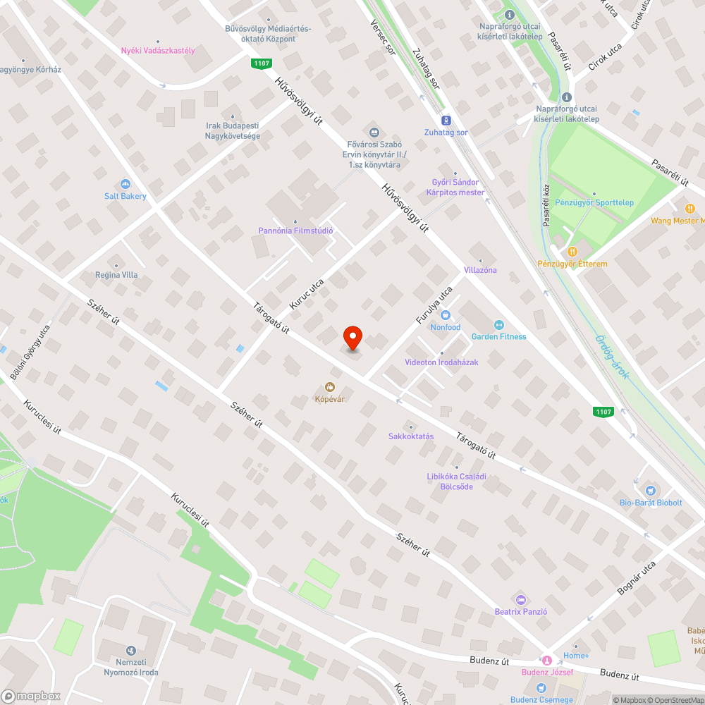 Kutyapiszok lépten-nyomon bejelentés helye