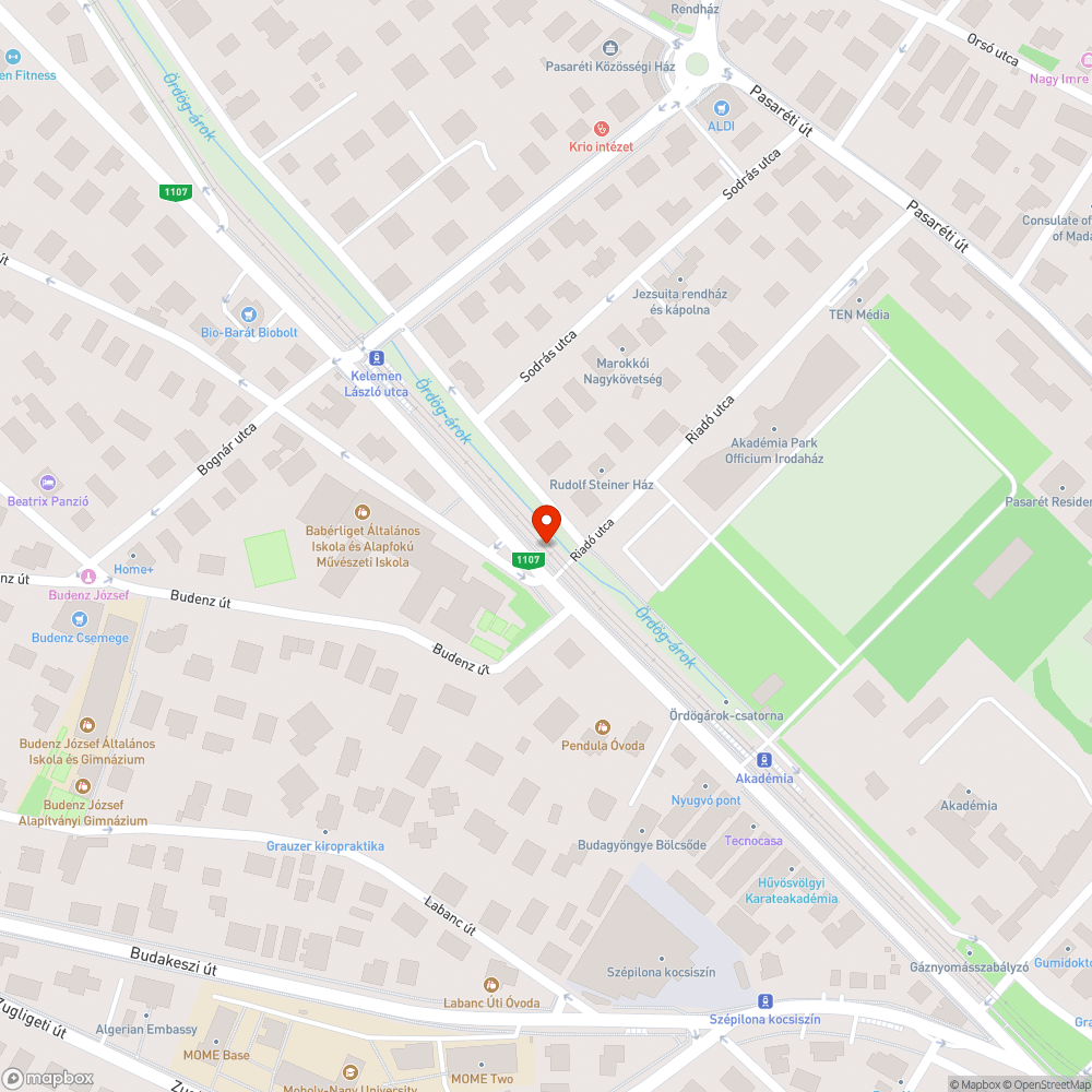 Hiányzó fa bejelentés helye