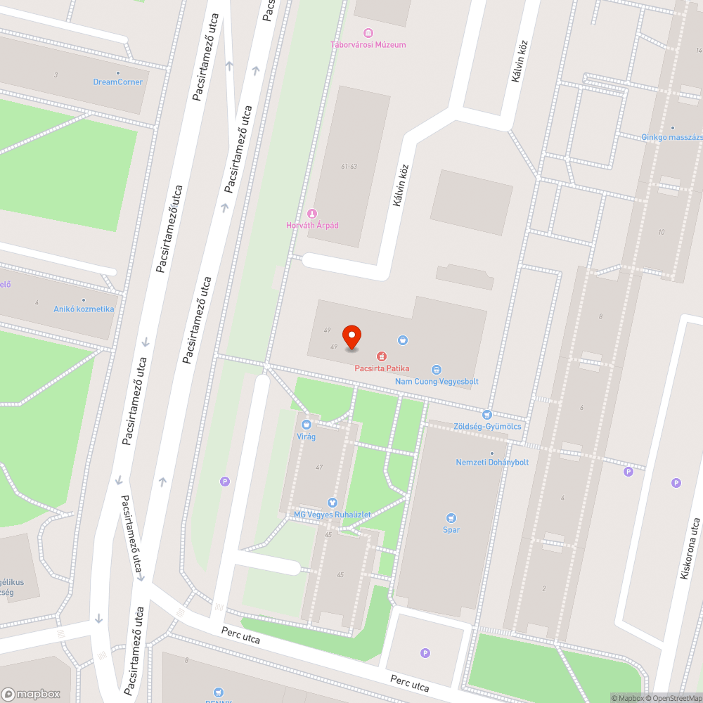 Patkány fényes nappal a Pacsirtamező utcában bejelentés helye