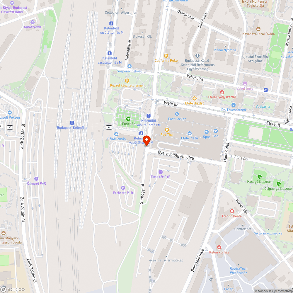 Lekopott zebra bejelentés helye