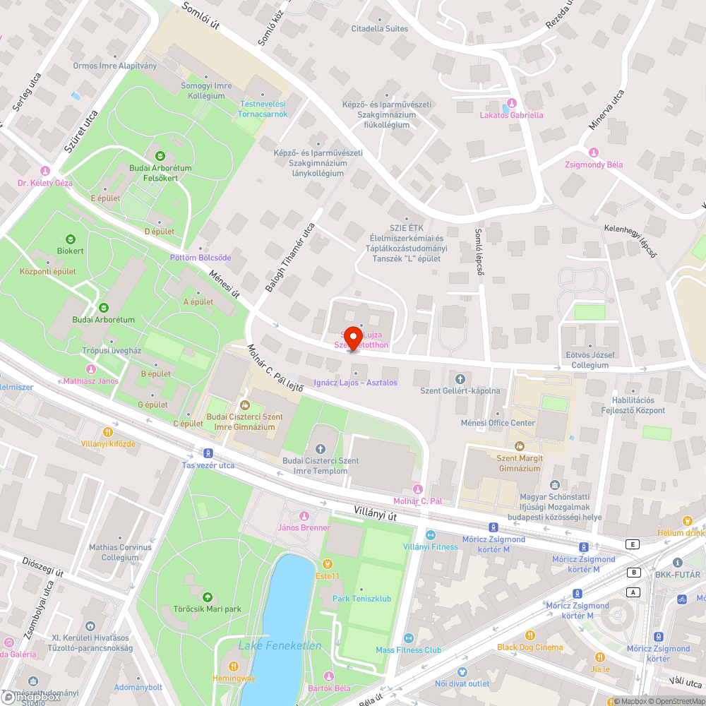 Billegő „Postás” fedlapok bejelentés helye