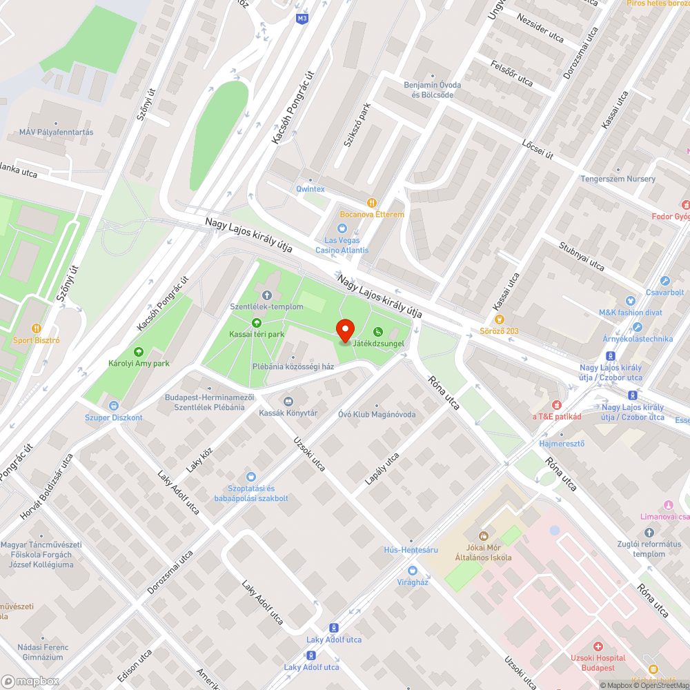 Kassai téri kutyafuttatók bejelentés helye