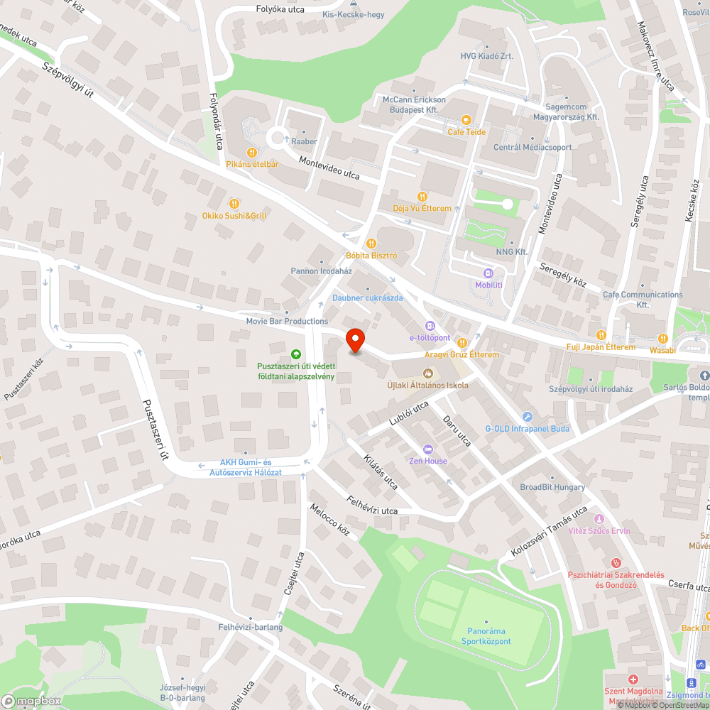 Az úttesten a még tavaly lehulott levelekből maradt kosz bejelentés helye