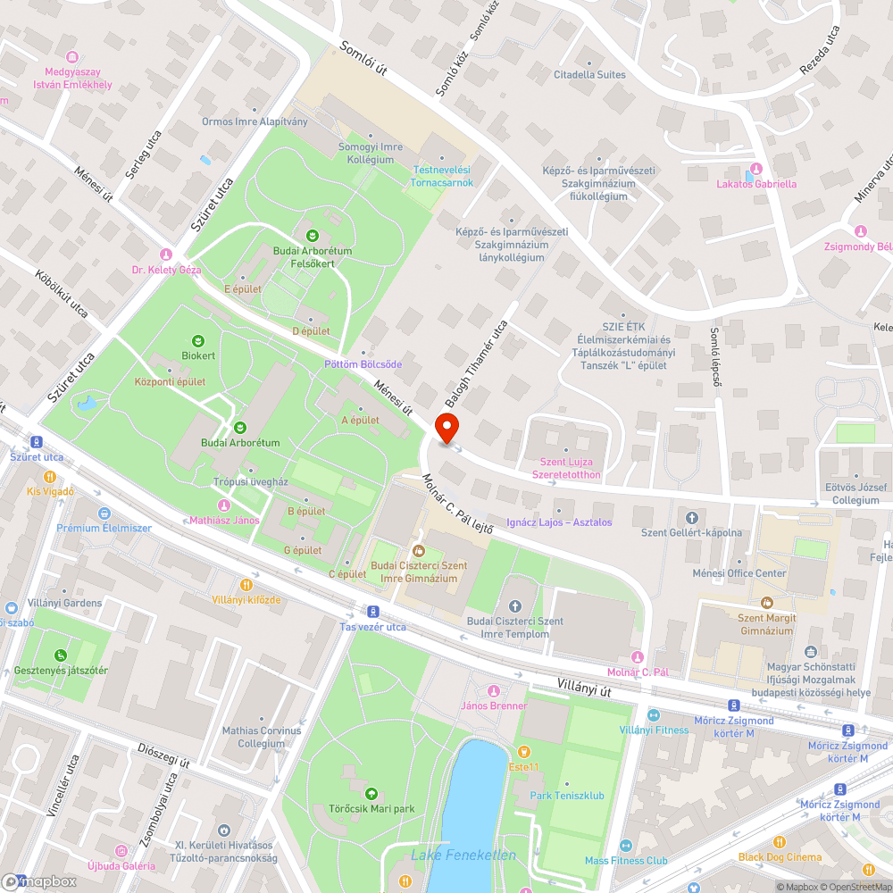 Szinte láthatatlan burkolati jelek bejelentés helye