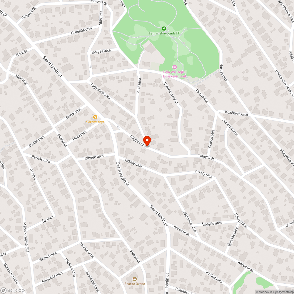 Megsüllyedt aszfalt a víznyelő körül bejelentés helye