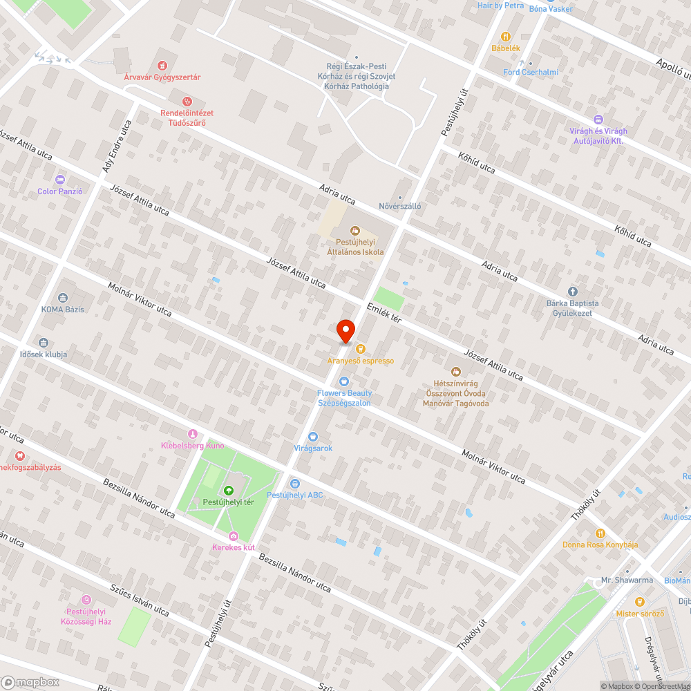 Folyamatos zöldterületen való parkolás bejelentés helye