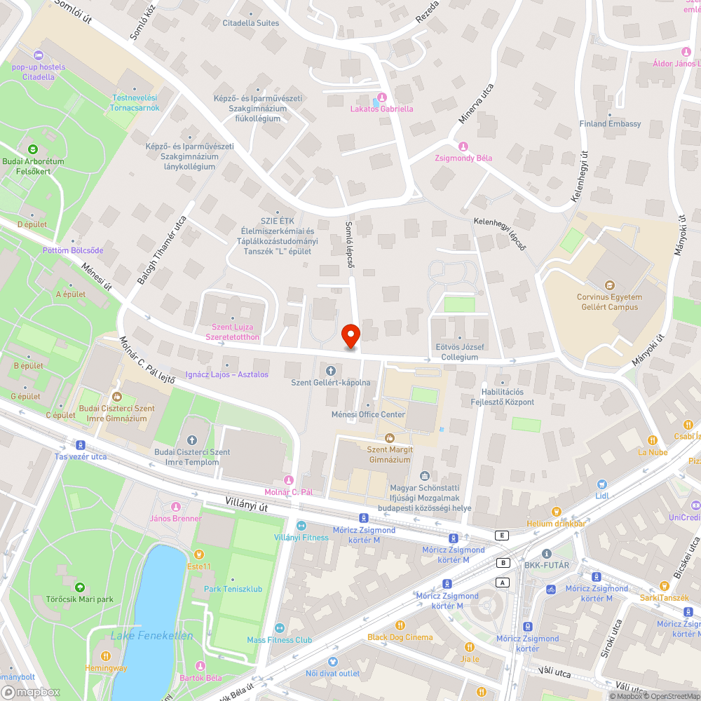 Elkorhadt életveszélyes fa bejelentés helye