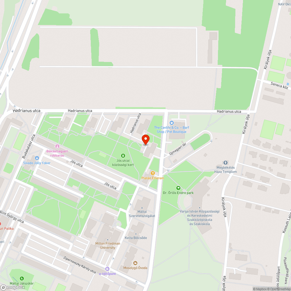 Kaotikus az egész járda bejelentés helye