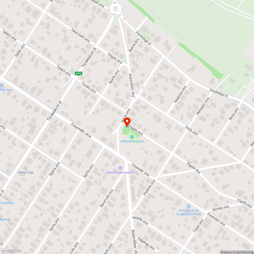 Balesetveszélyes játszótér bejelentés helye