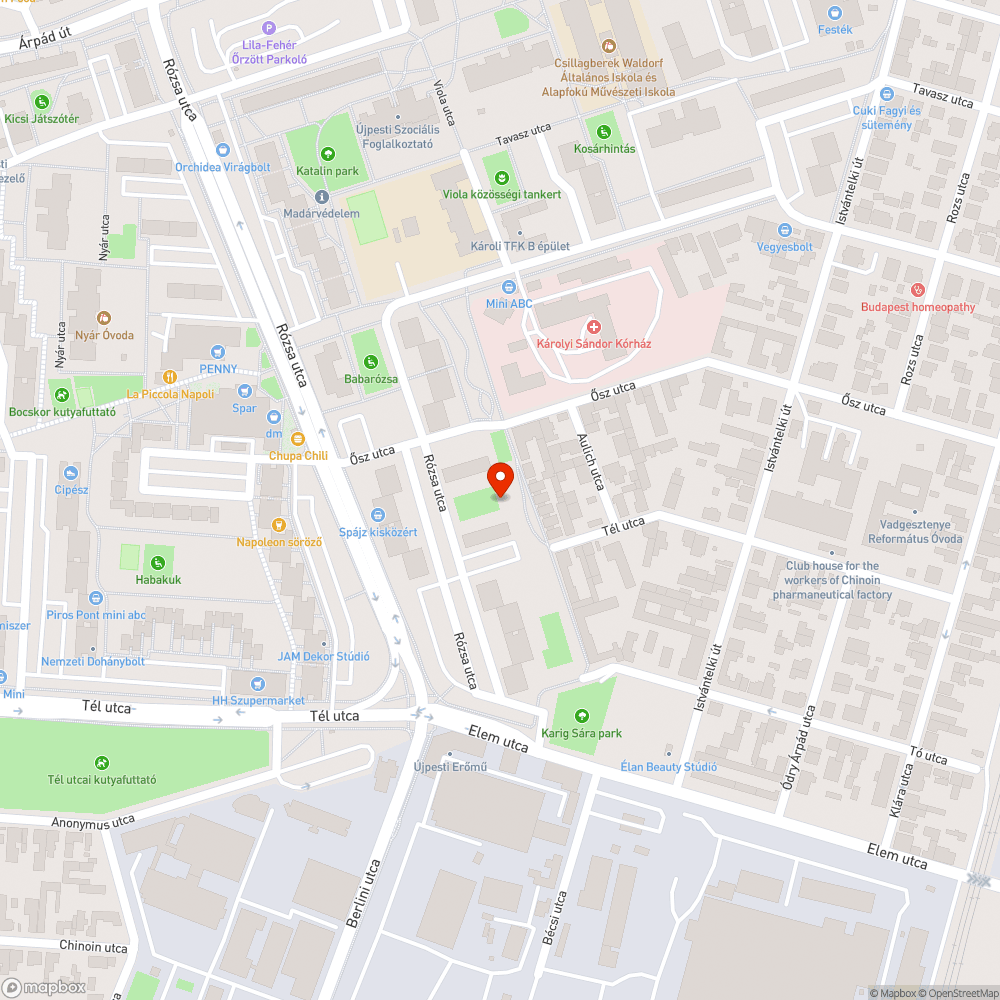 Levágott faágak elszállítása bejelentés helye