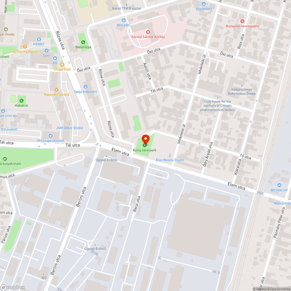 Rossz állapotú , elhalt fák a Karig Sára Parkban bejelentés helye