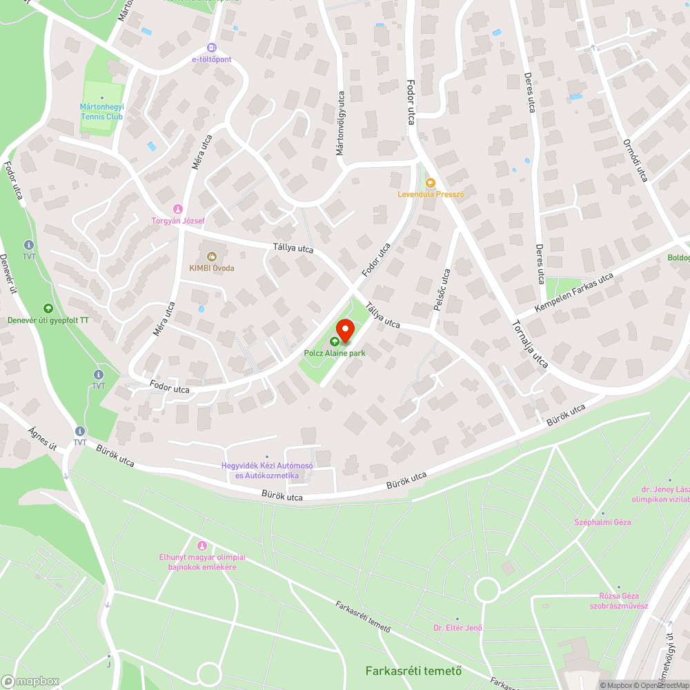 Poltz Alaine(Tállya u-i) játszón + focipályán a kerítés sérült bejelentés helye