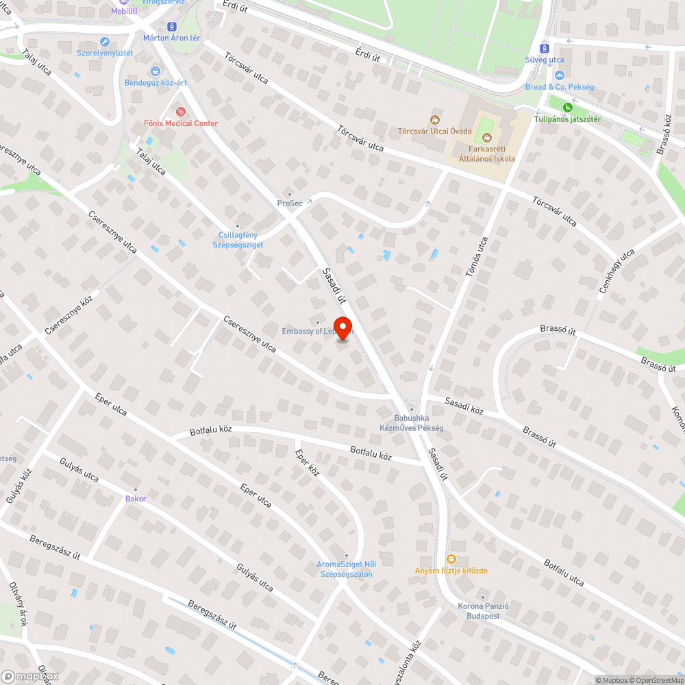 Sasadi út 156. aknafedél bejelentés helye