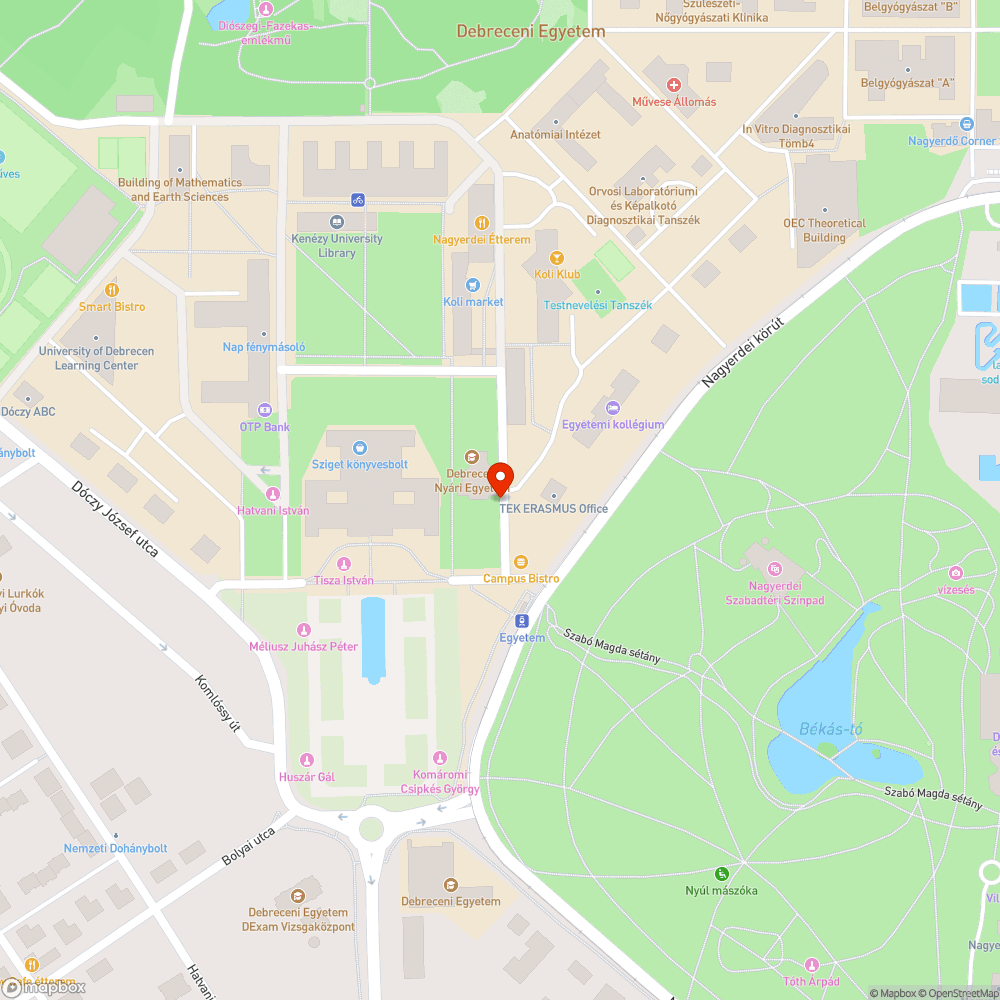 Citylight világítás bejelentés helye