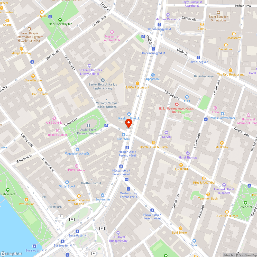 Áll a víz a Ferenc körúti bringasávon bejelentés helye