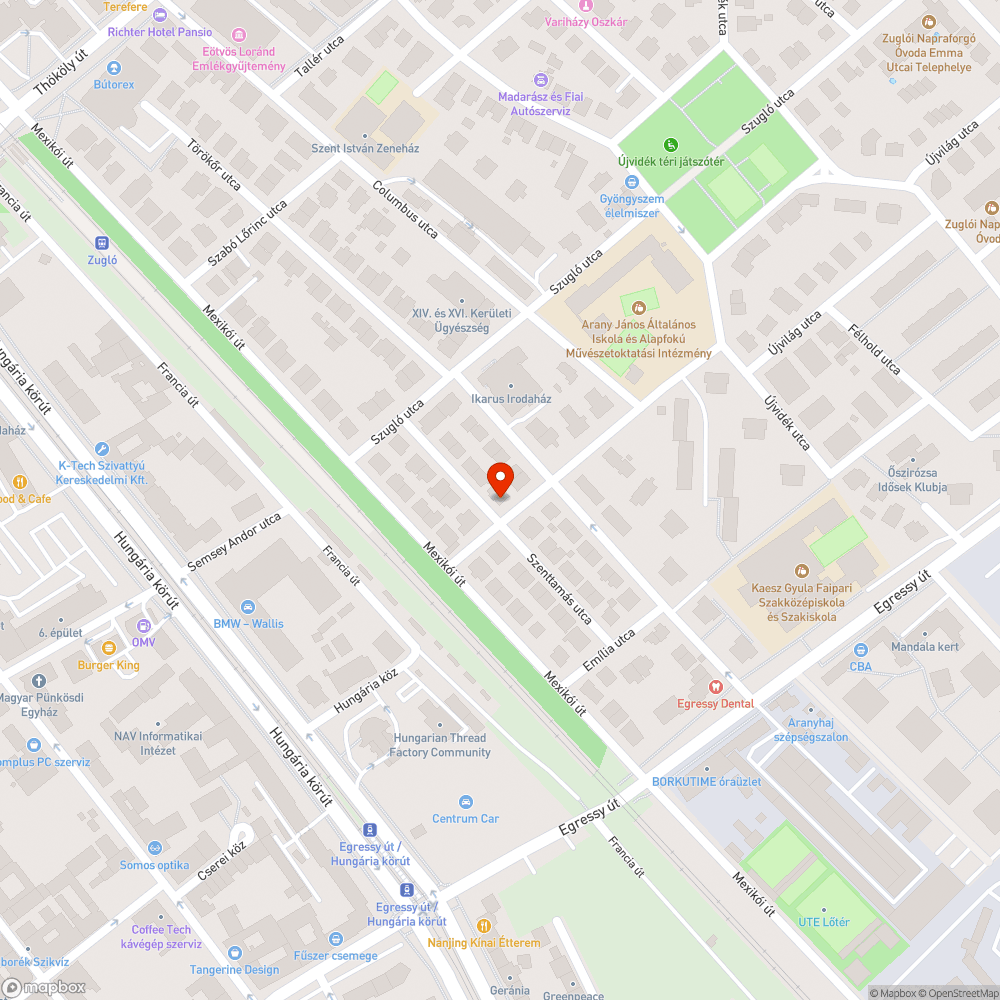 Oszlopos juhar felsővezetékbe nőtt bejelentés helye