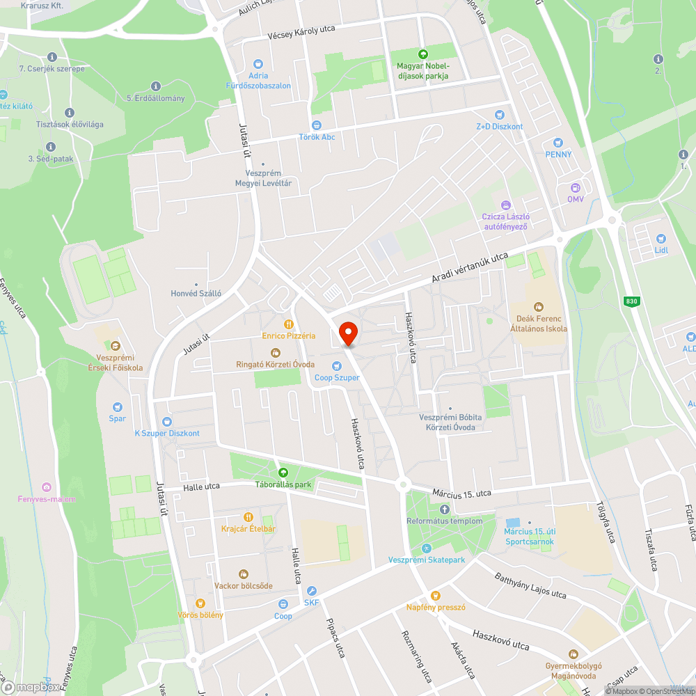 Kiégett világítások a zebrán bejelentés helye