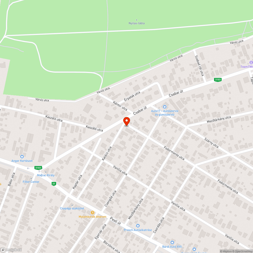 Közműszekrény az összedőlés határán bejelentés helye