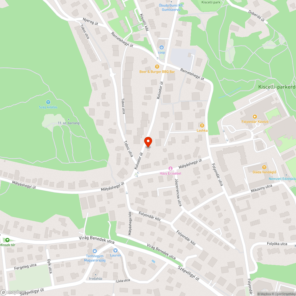 Kiszáradt fa Óbudán a Kolostor úton bejelentés helye