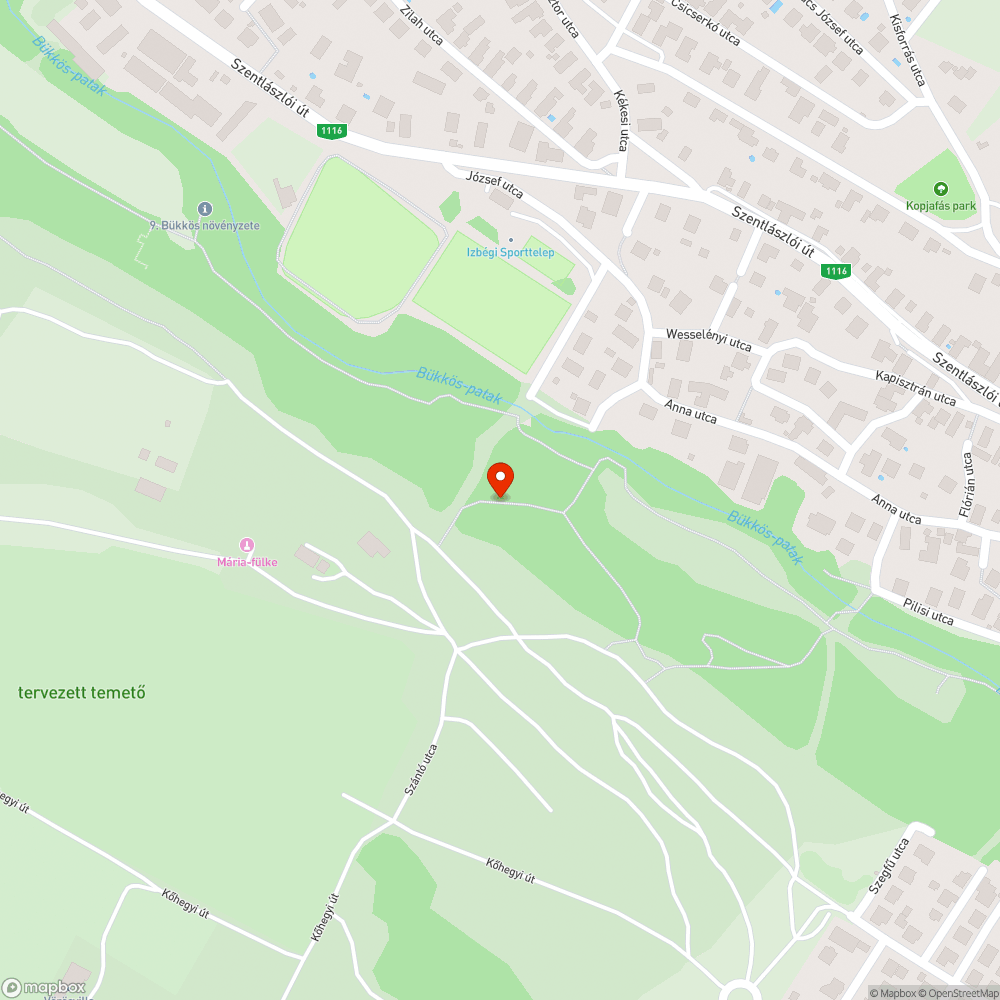 Sitt és szemét, valamint sittből épített híd egy árkon keresztül bejelentés helye