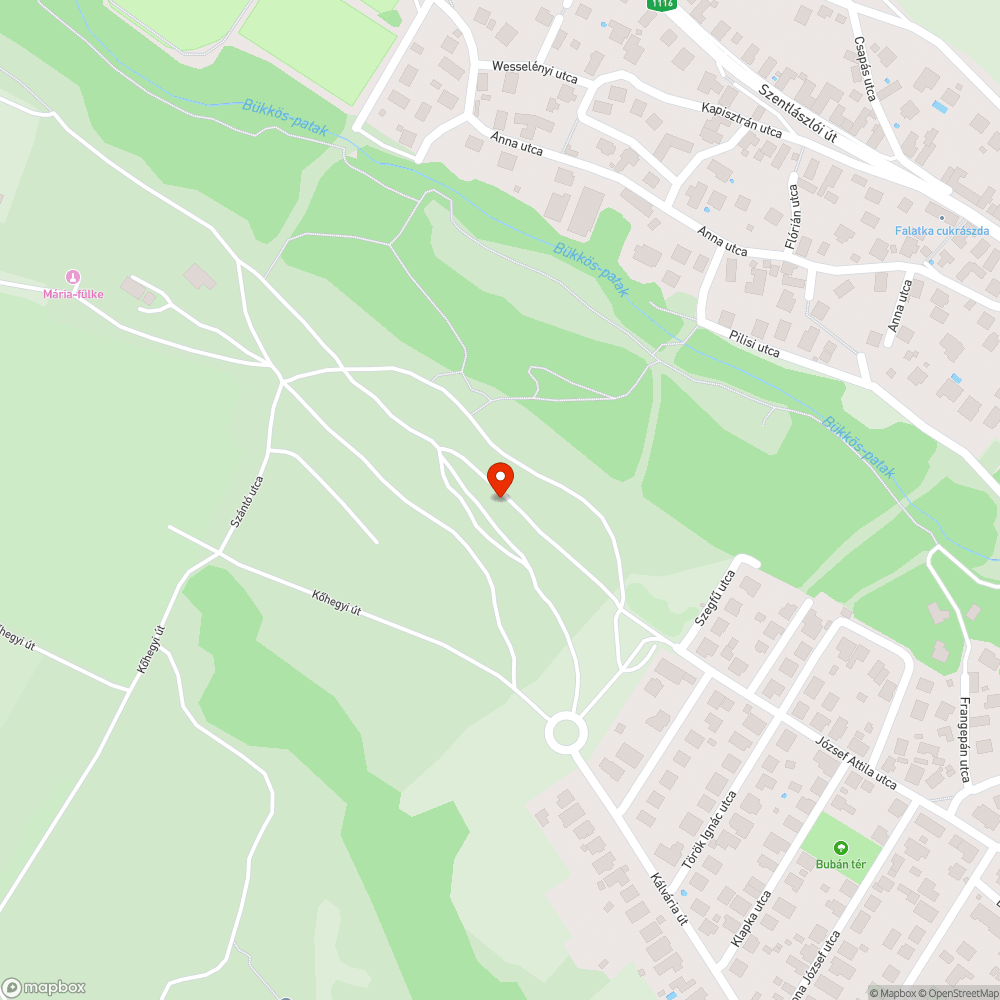 Kallódó szemét a László-telepi síkon bejelentés helye