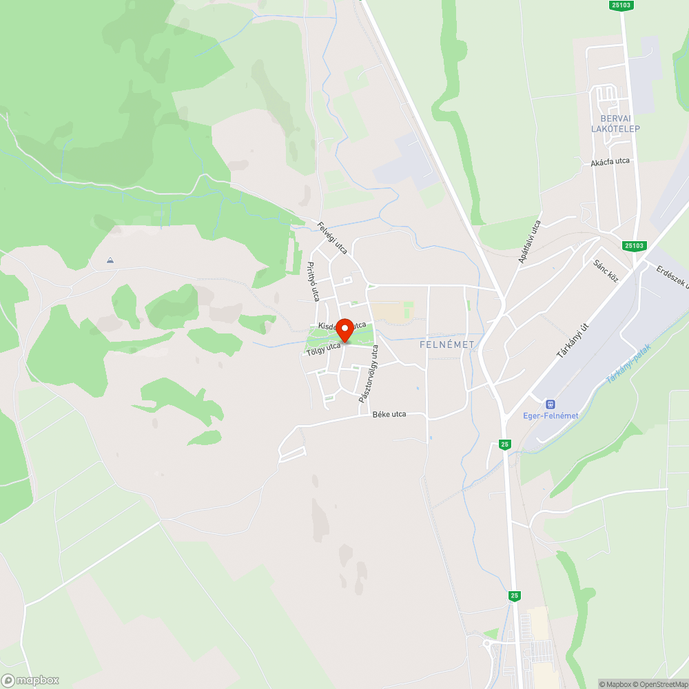 Eger Csalogány u. - Tölgy u. - Fecske u. útszakaszok nem javuló problémái bejelentés helye