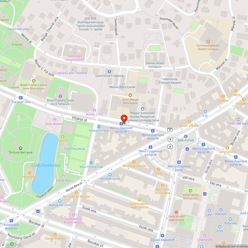 Esőben használhatatlan várakozófülke a járdán pangó csapadék miatt. bejelentés helye