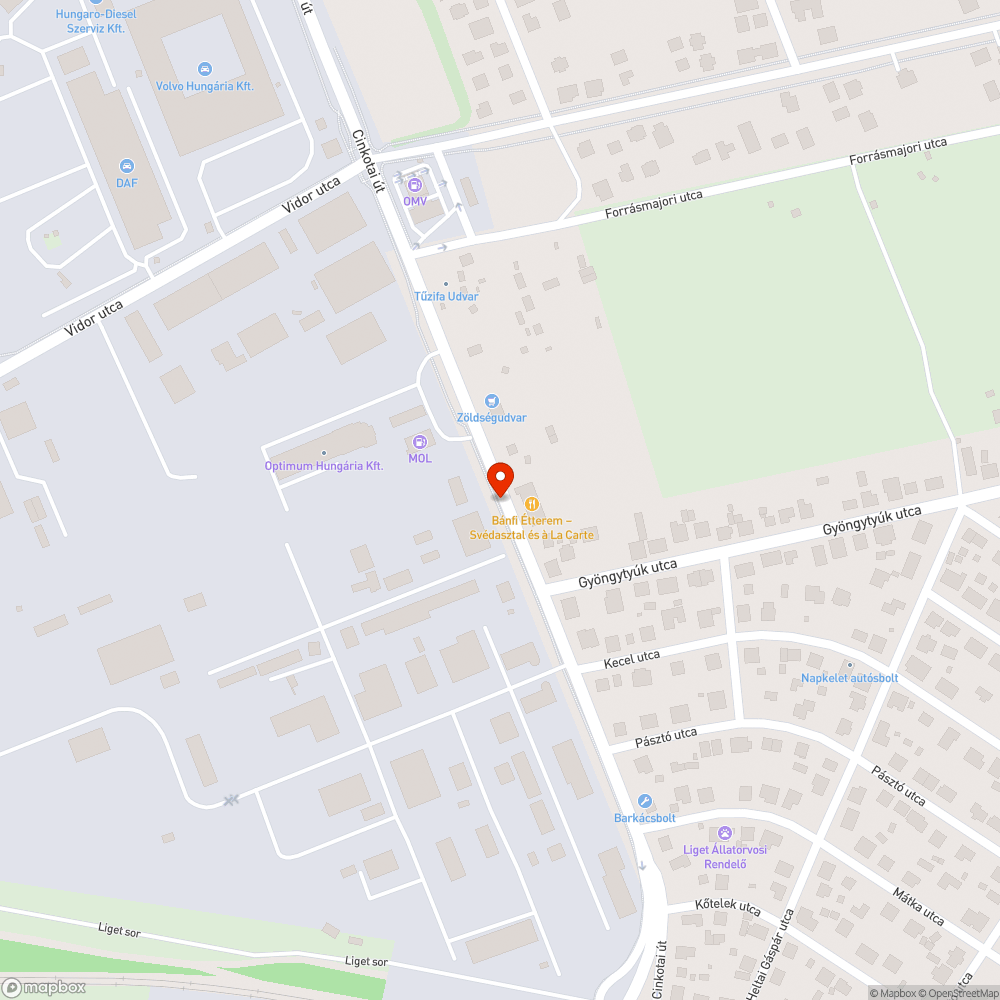 Cinkotai úti kátyúrengeteg bejelentés helye