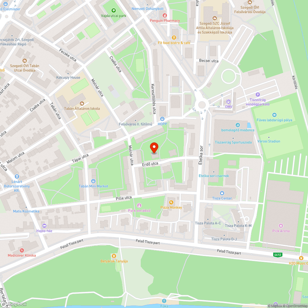 Kiszáradt fa bejelentés helye