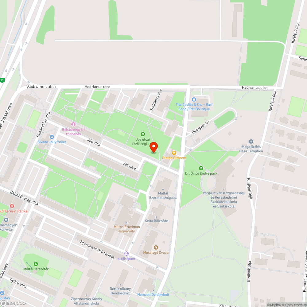 Szemét a földön bejelentés helye