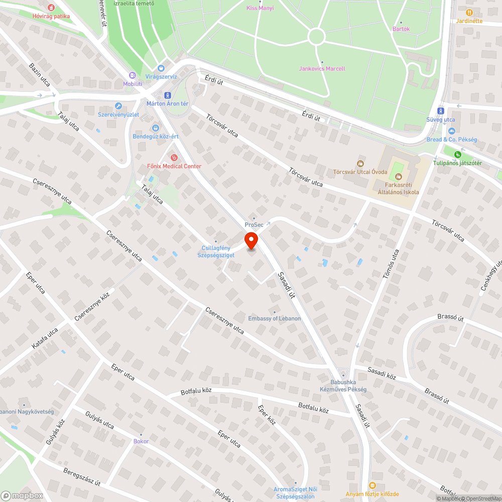 Gaz és faágak bejelentés helye