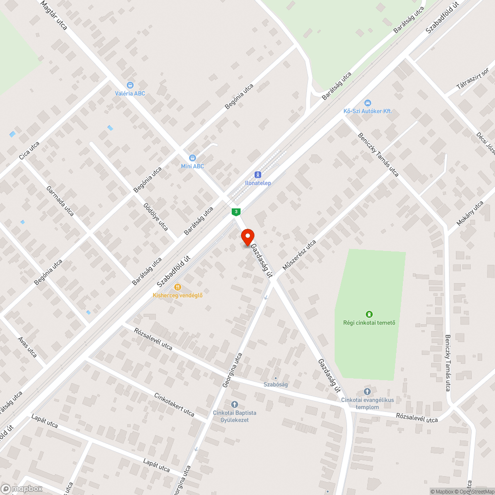 Rengeteg szemét az utcán bejelentés helye