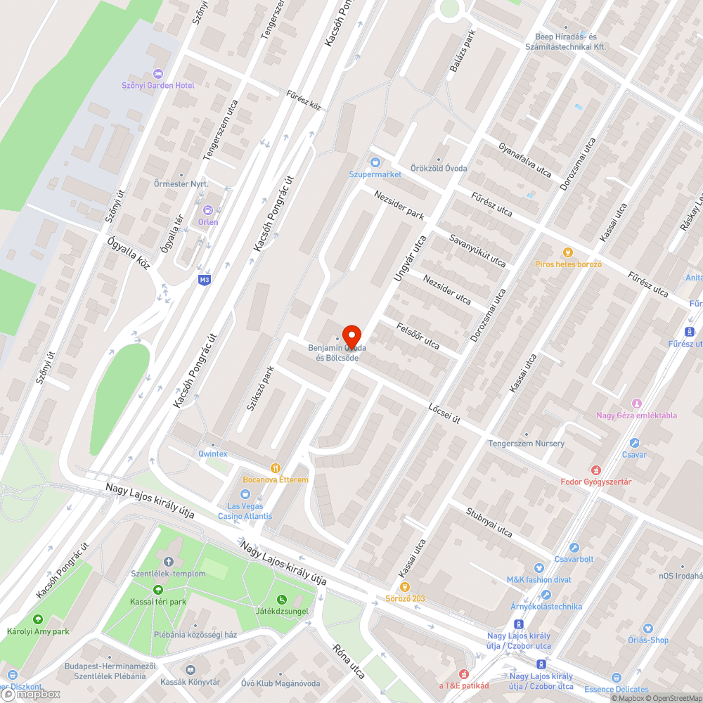 Esőben gondokat okozó gallyak bejelentés helye