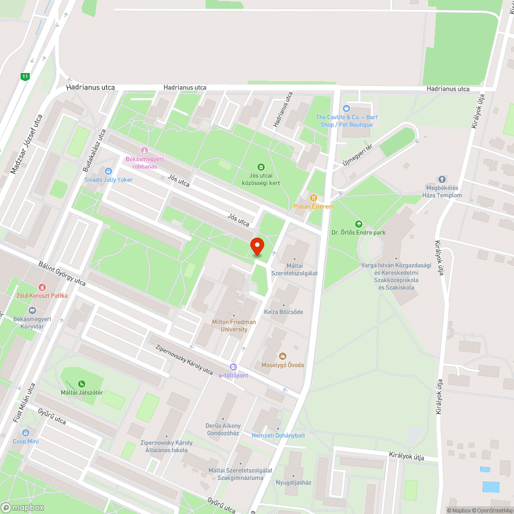 Rengeteg a szabálytalan parkolás bejelentés helye