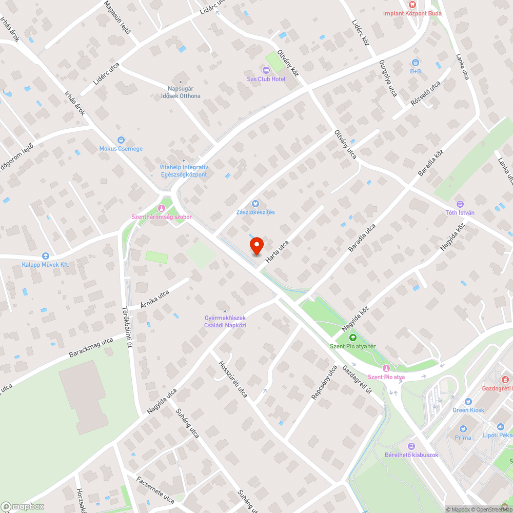 Méteres gaz és dudva Újbudán bejelentés helye